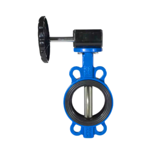 Butterfly Valve Cast Iron Seat EPDM Worm Gear